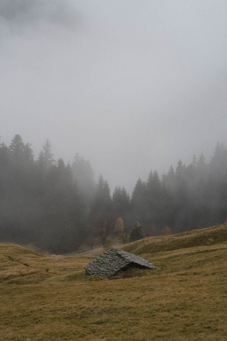 Rifugio Alpe Piazza - photo
