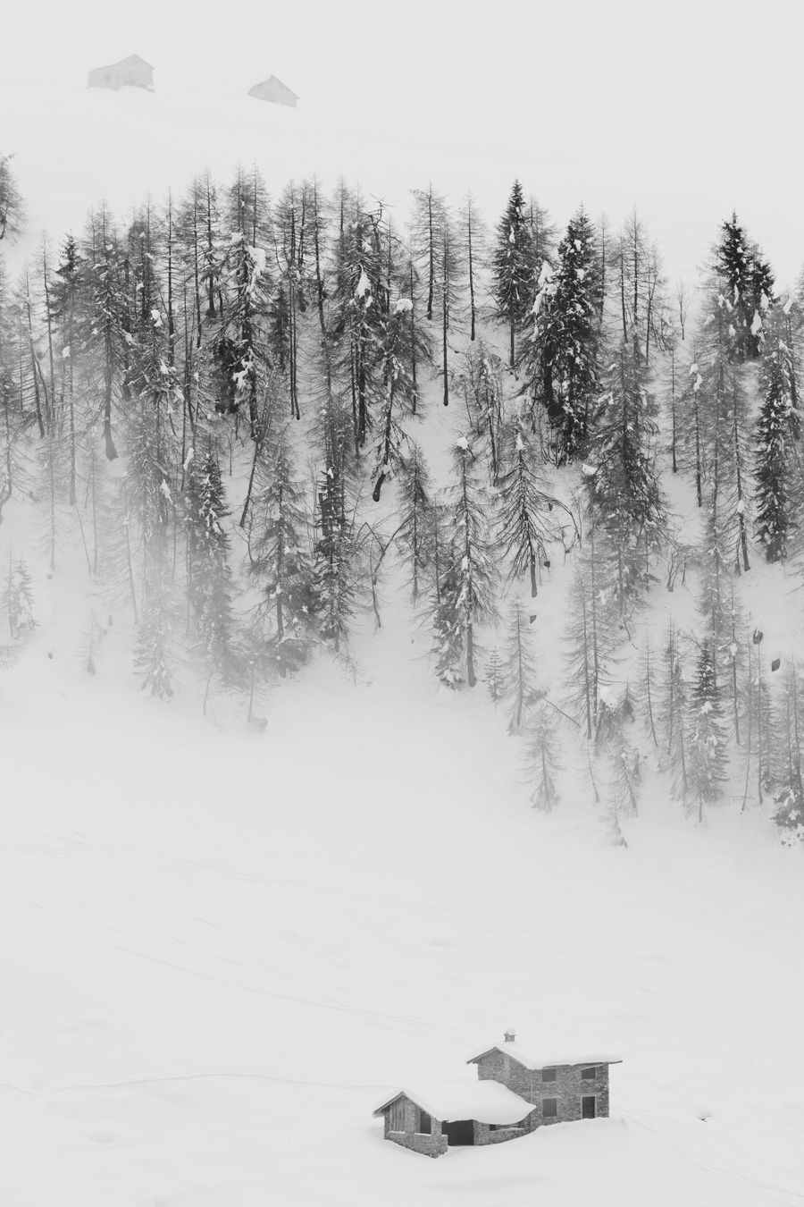 Rifugio Alpe Piazza - photo