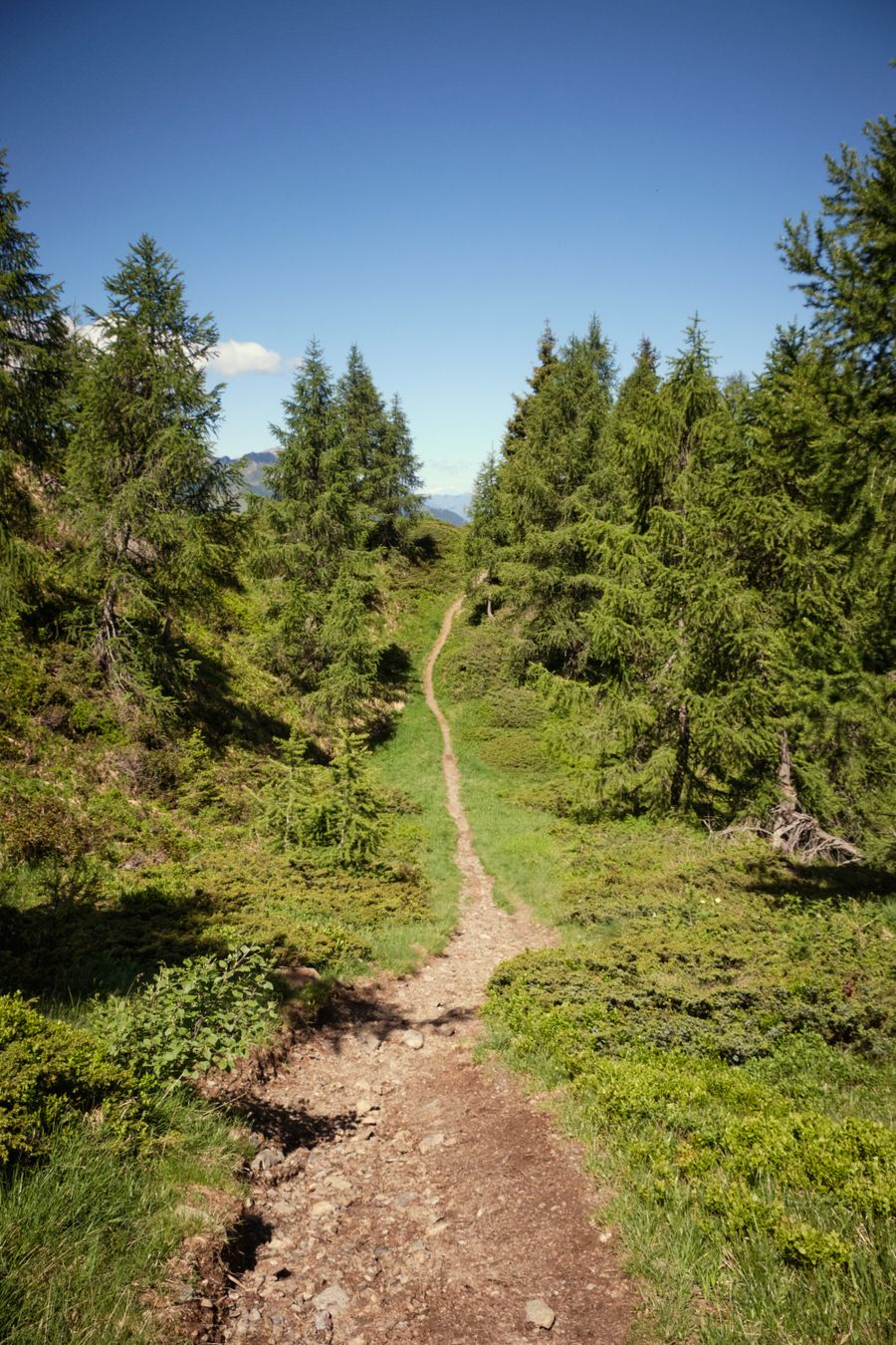 Rifugio Alpe Piazza - photo